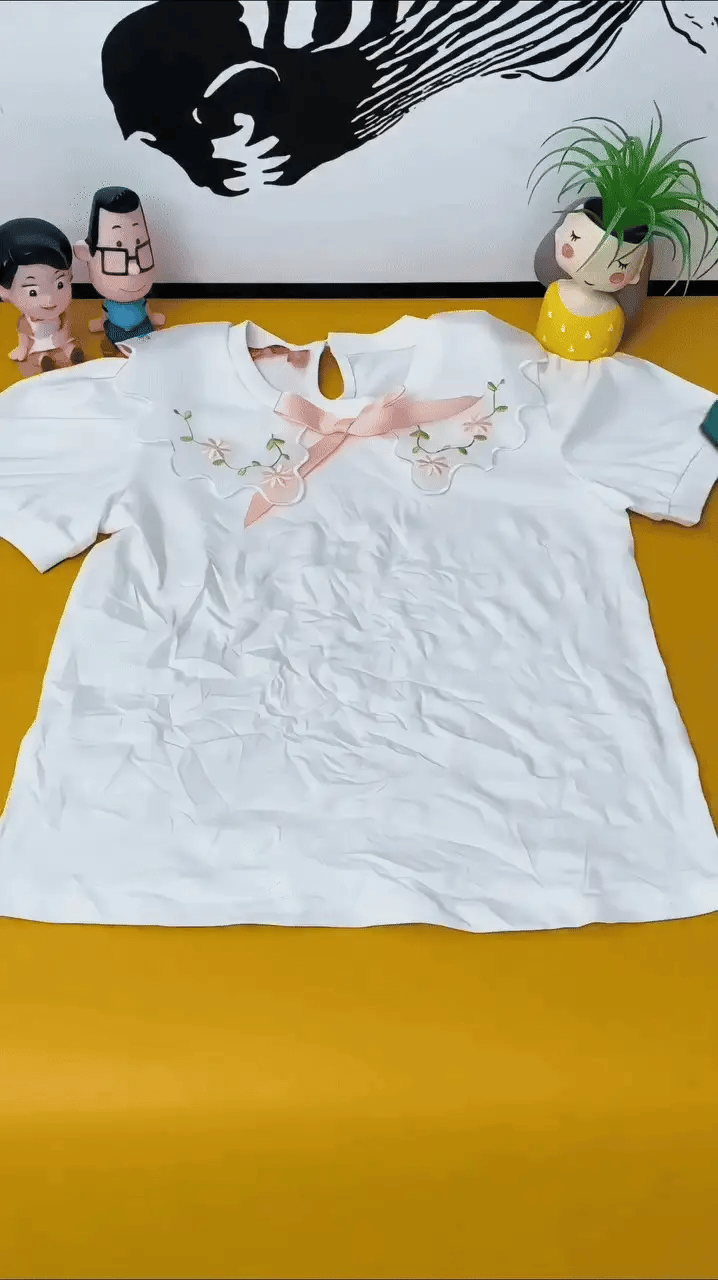 Portable 2-in-1 Mini Ironing Machine